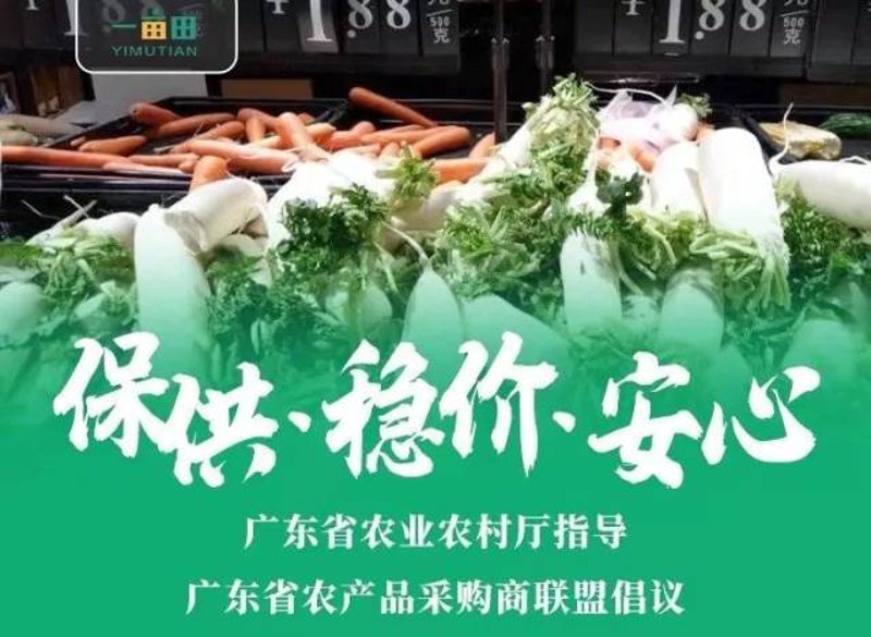 农产品代采:农业供应链的新篇章