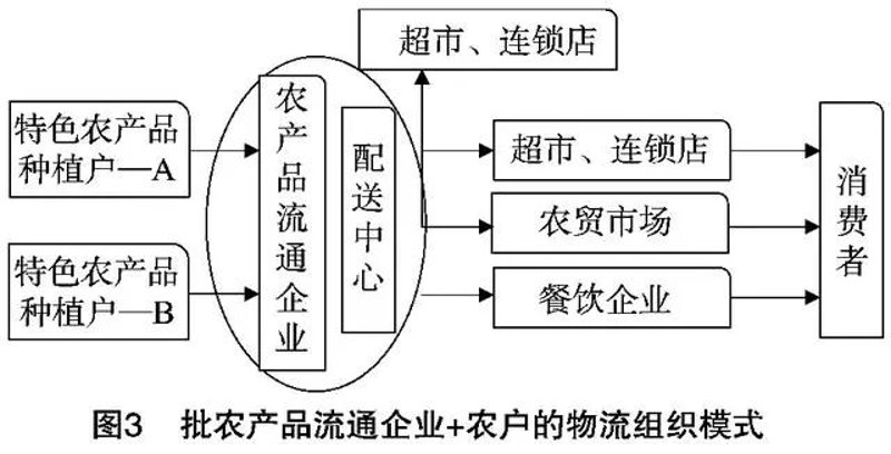 农产品供应链管理:搭建现代农业的桥梁